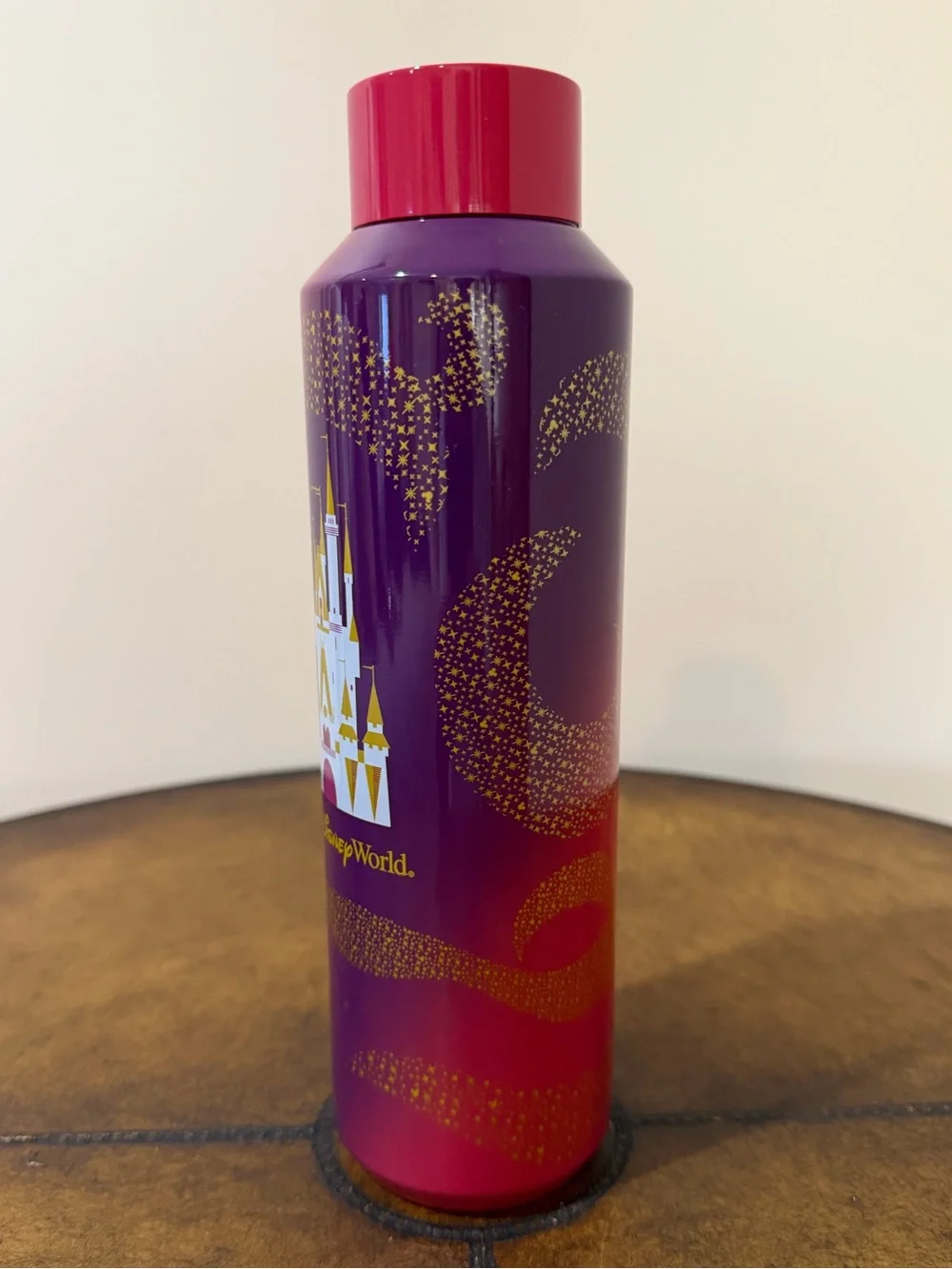 NEW STARBUCKS WALT DISNEY WORLD CINDERELLA CASTLE STAINLESS STEEL WATER BOTTLE